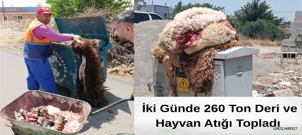 Bayramda 260 ton kurban derisi ve atığı toplandı