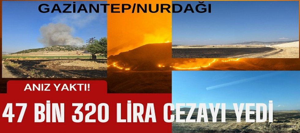 Gaziantep Jandarma, Anız Yakan Şahsı Suçüstü Yakaladı