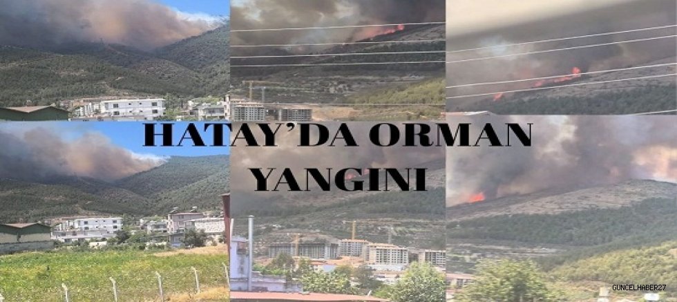 HATAY/Orman yangını devam ediyor!