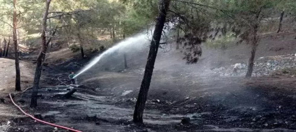 Oğuzeli’nde Örtü Yangını 