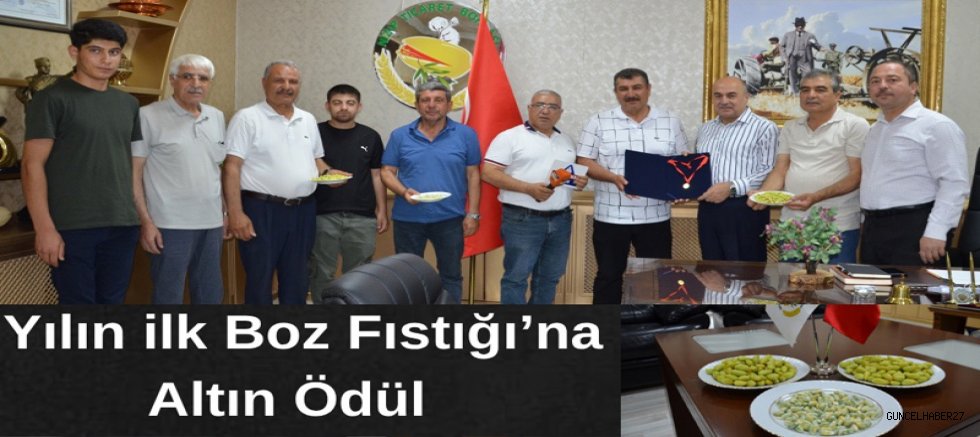 Yılın İlk Boz Fıstığına Altın Ödülü