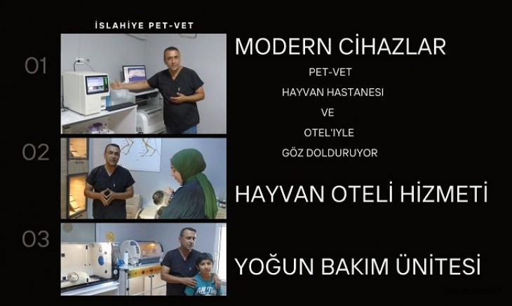 PET-VET, Hayvan Hastanesi ve Otel'iyle Göz Dolduruyor!