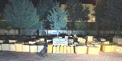 Araban’da 7 Ton Kaçak Tütün Ele Geçirildi