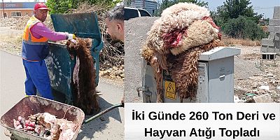 Bayramda 260 ton kurban derisi ve atığı toplandı