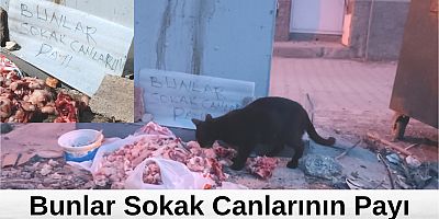 Bunlar sokak canlarının payı