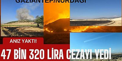 Gaziantep Jandarma, Anız Yakan Şahsı Suçüstü Yakaladı