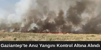 Gaziantep'te anız yangını 