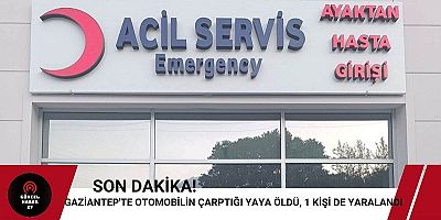 Gaziantep'te otomobilin çarptığı yaya öldü !