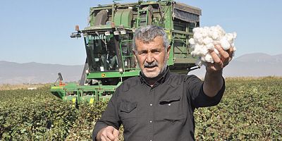Gaziantep'te Pamuk Hasadına Başlandı 