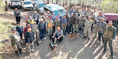Gaziantep'te Yaban Domuzu Sürek Avı 