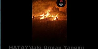 HATAY/ Gerçek Orman Köylüsü: ARPALIUŞAĞI