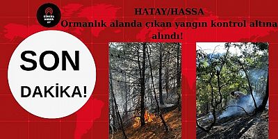 HATAY/HASSA’da ormanlık alanda çıkan yangın kontrol altına alındı