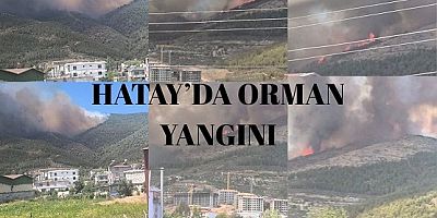 HATAY/Orman yangını devam ediyor!