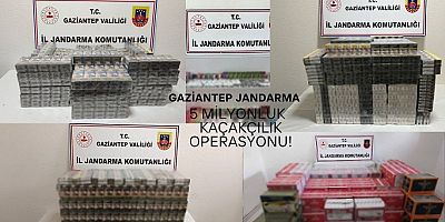 Jandarma, 5 milyonluk kaçak ürün ele geçirdi