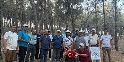 Kırıkhan’da Vatandaşlar Ağaç Kesimini Engellemek İçin Bir Araya Geldi