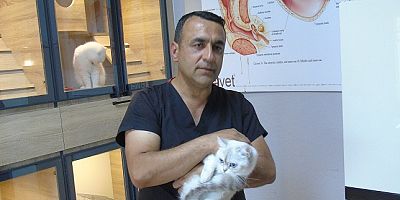 Kliniğinde tedavi ettiği sahipsiz hayvanları sahiplendiriyor