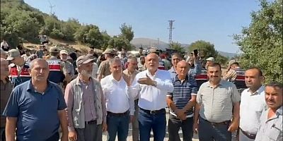  Meriç: Depremzedenin evine de zeytinine de göz dikmeyin!