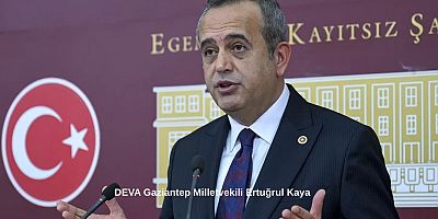 Milletvekili Kaya: 