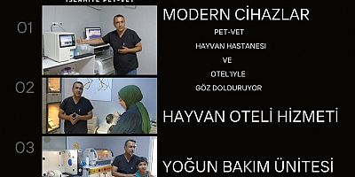 PET-VET, Hayvan Hastanesi ve Otel'iyle Göz Dolduruyor!