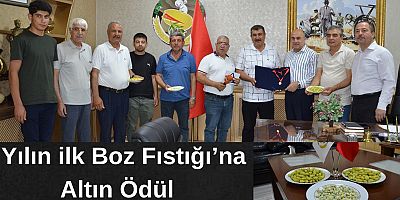 Yılın İlk Boz Fıstığına Altın Ödülü