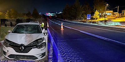 Yolun karşısına geçerken otomobilin çarptığı yaya öldü