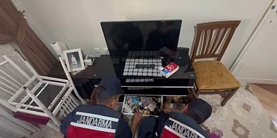  Yüksek kazanç vaadiyle dolandırıcılık,27 tutuklama 