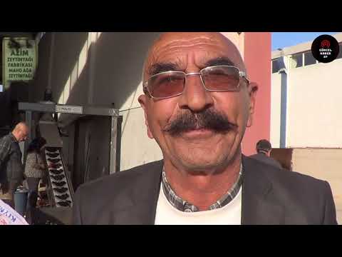 Azim Maho Ağa Zeytinyağı Fabrikası Üç İlçeye Hizmet Sunuyor