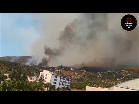 HATAY/Orman yangını devam ediyor!