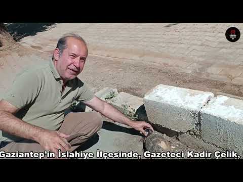 Kaplumbağaya pet bardakla su içirdi!