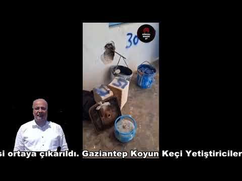 Gaziantep’te Kantar Hilesi Ortaya Çıktı: Başkan Uyardı!