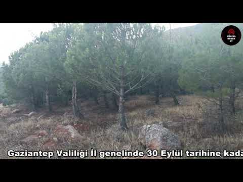 Ormanlara girişler yasaklandı!