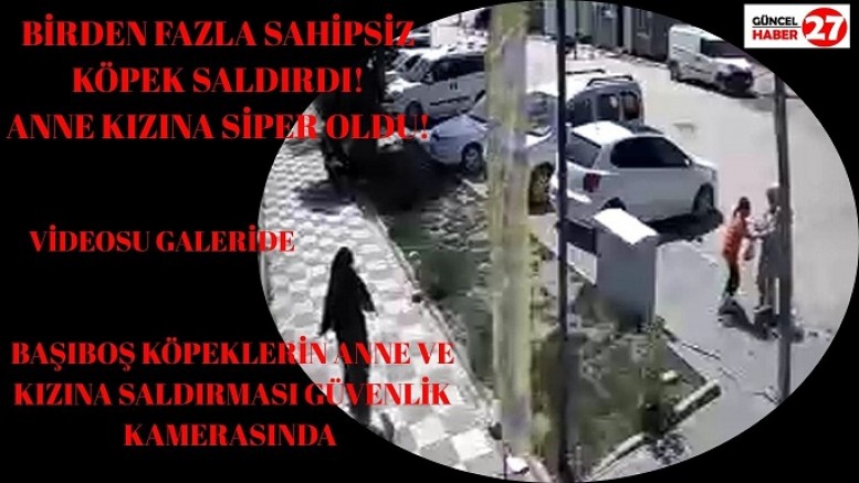 Başıboş köpeklerin anne ve kızına saldırması güvenlik kamerasında