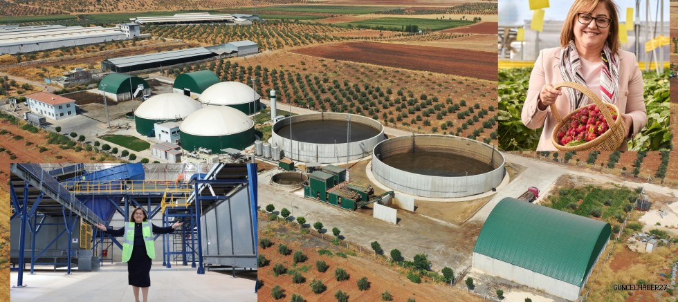 Gaziantep’te çevreyi koruyor, ekonomiye katkı sağlıyor