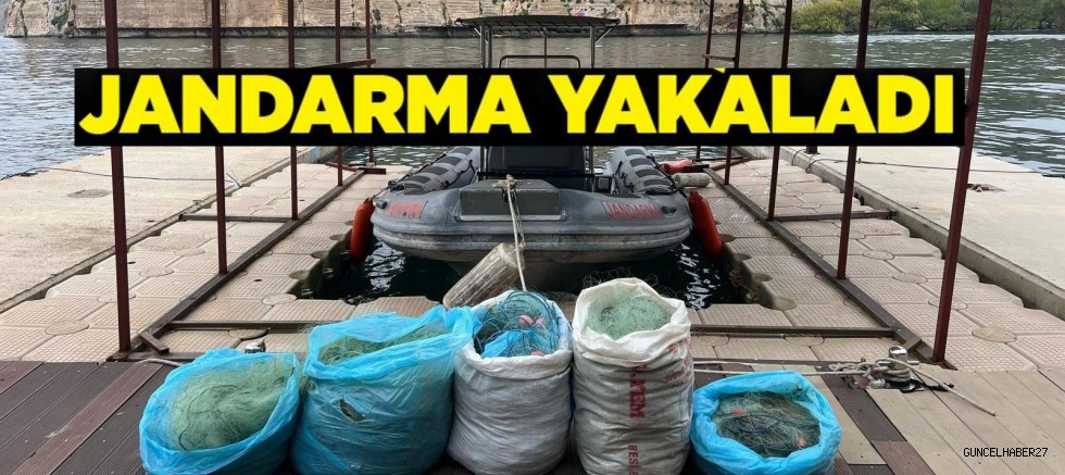 Jandarma kaçak avcıyı suçüstü yakaladı