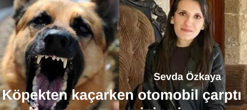 Köpekten kaçarken araç çarptı yaşamını kaybetti
