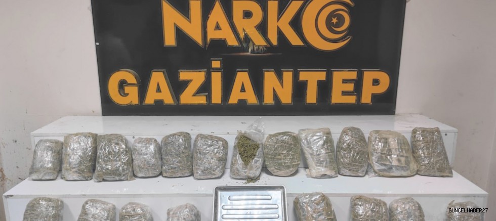 Gaziantep’te 10 kilo skunk ele geçirildi