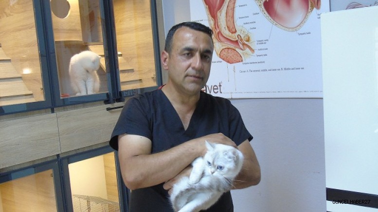 Kliniğinde tedavi ettiği sahipsiz hayvanları sahiplendiriyor