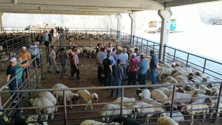 Gaziantep Kurban Bayramı’na hazır