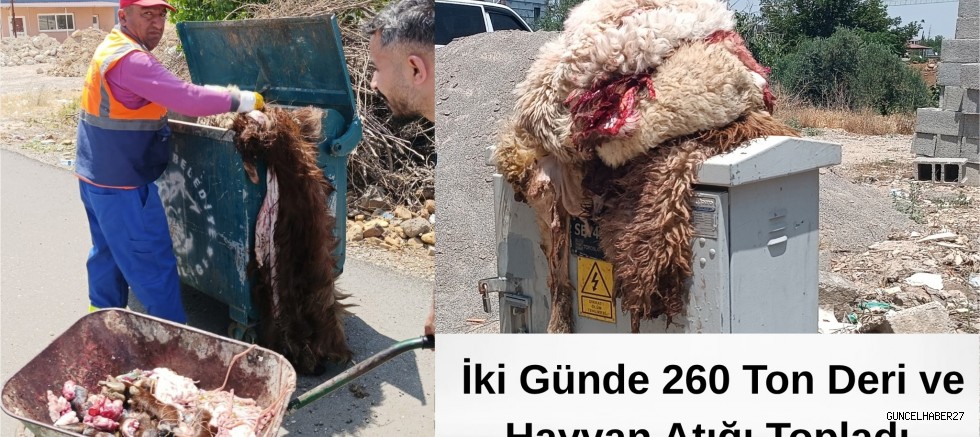 Bayramda 260 ton kurban derisi ve atığı toplandı