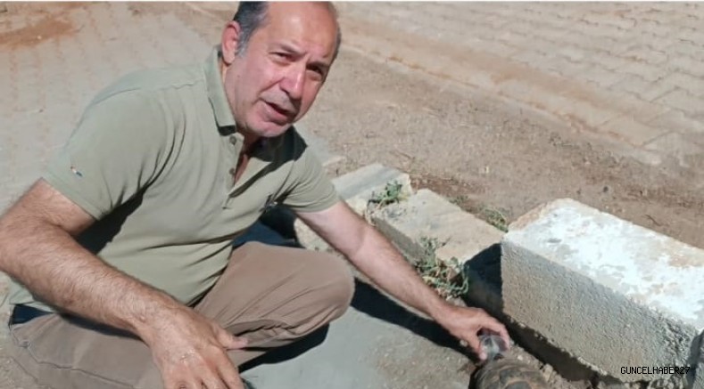 Kaplumbağaya pet bardakla su içirdi