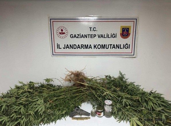 Gaziantep’te Uyuşturucu Operasyonu: 1 Tutuklama