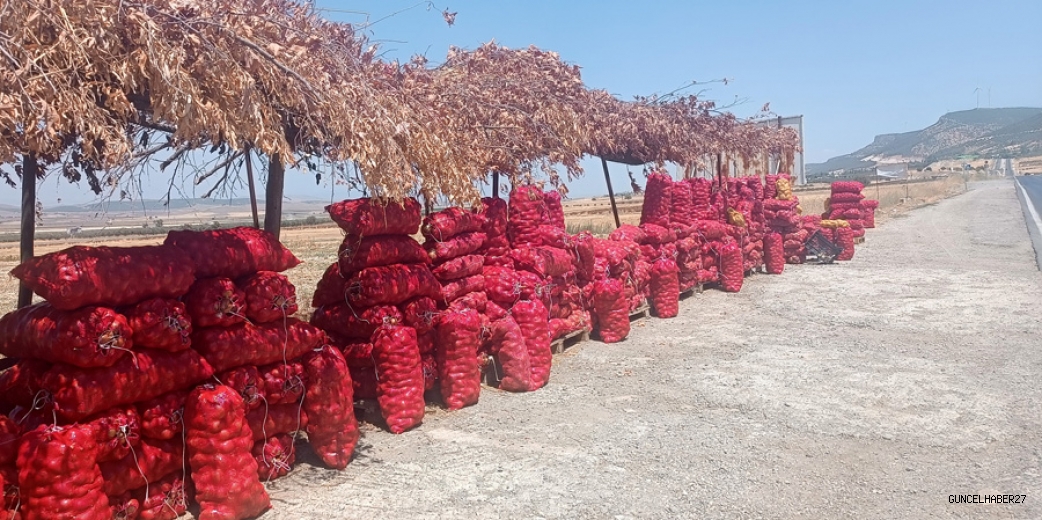 Tarlasında ürettiği soğanı yol kenarında kurduğu tezgahta satıyor