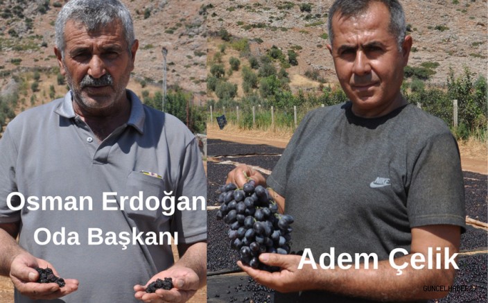 Gaziantep’te ‘Antep Karası ’ üzümde kurutma başladı