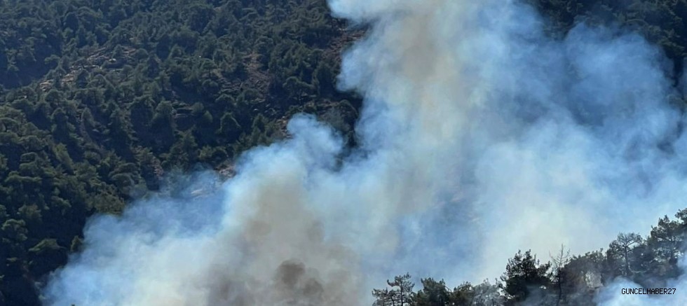 Gaziantep’te orman yangını söndürüldü