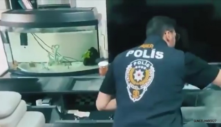 İçişleri Bakanı Ali Yerlikaya: 170 Şüpheli Yakalandı