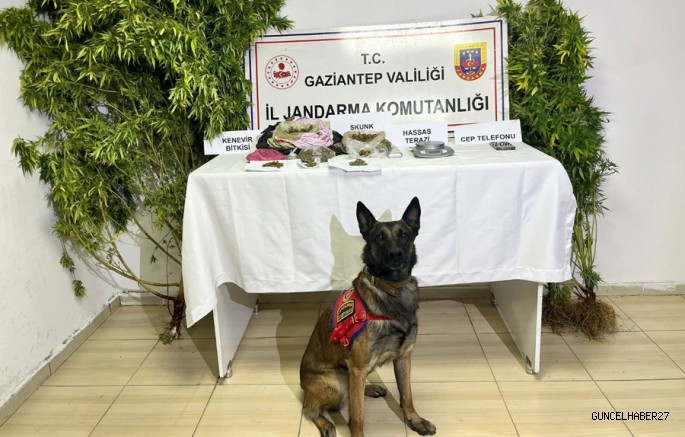 Gaziantep’te uyuşturucu operasyonu 2 tutuklama