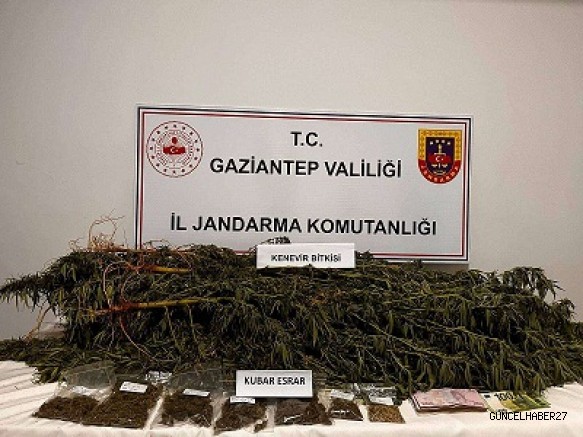Jandarmadan Kaçakçılık ve uyuşturucu operasyonu:161 şüpheli yakalandı