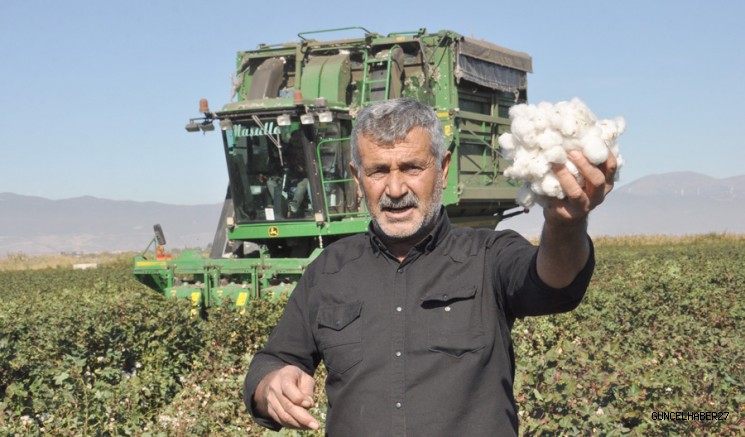 Gaziantep’te Pamuk Hasadına Başlandı
