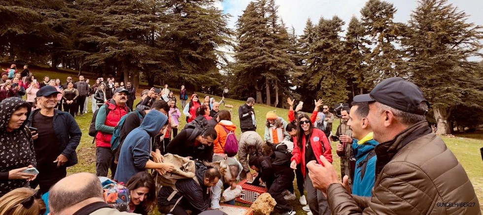 Huzurlu Yaylasında sonbahar güzelliğinde doğa yürüyüşü