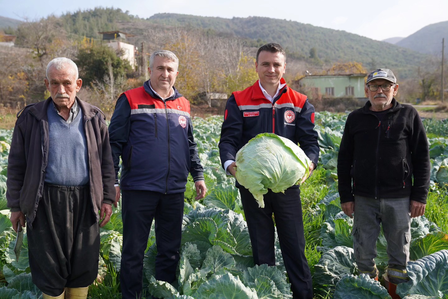 HASANBEYLİ’DE LAHANA HASADI BÖLGE EKONOMİSİNE KATKI SAĞLIYOR